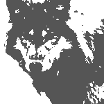 wolf-bw