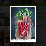 Leafy Green website gallery