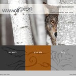 wwwolf web development Bristol