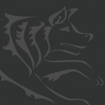 wwwolf web development Bristol