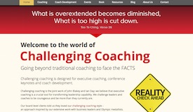 Challenging Coaching - executive coaching plus