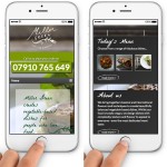 Miller Green – vegetarian meals delivery in Bristol – responsive